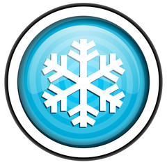 snowflake icon