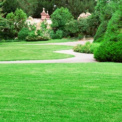 Deurstickers summer park with beautiful green lawns © alinamd