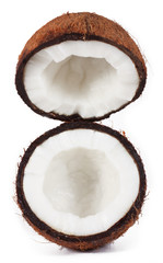 coconut