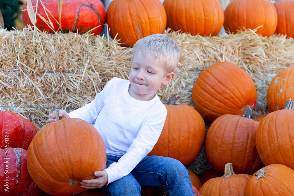 Canvas Prints child at punpkin patch