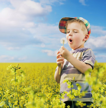 Colorful picture of young boy on the meadow