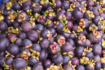 Mangosteen