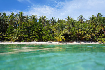 Tropical beach with lush vegetation
