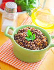 lentil