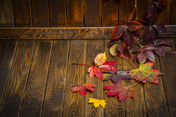 autumnal leaves on a old wooden background