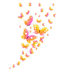 butterfly,butterflies vector