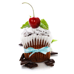 chocolate cake with fresh berry