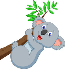 Naklejka premium Cute koala cartoon