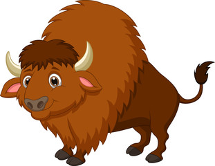 Bison cartoon