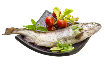 Fresh raw rainbow trout