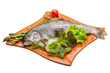 Fresh raw rainbow trout