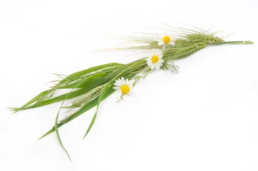 Cercles muraux Pansies bukiet kwiatów polnych i zbóż