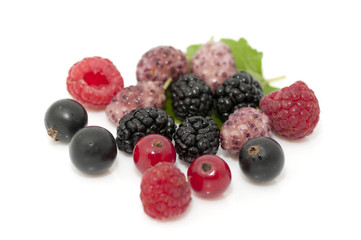 Mix of ripe organic berries