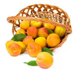 apricots falling out of a basket