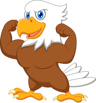 Strong eagle