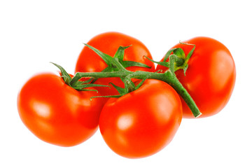 Closeup of tomatoes on the vine isolated on white