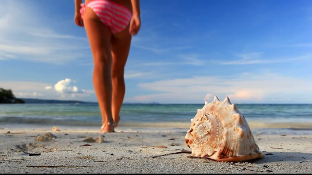 Seashell and girl in bikini on beach, Philippines, Bora