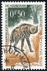 stamp printed by Mauritania, shows Striped hyena
