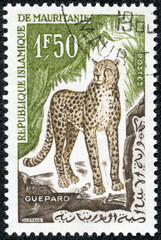 stamp printed in Mauritania shows a cheetah