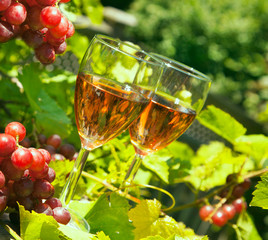 Glass of pink wine and grape