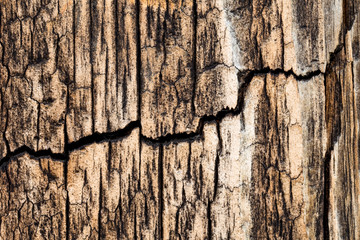holzbrett mit riss