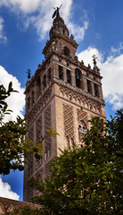 Fototapeta na wymiar Giralda Bell Tower From Orange Garden Seville Cathedral Spain