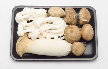 oyster mushrooms