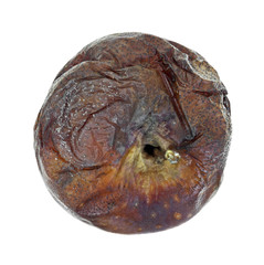 Rotten apple