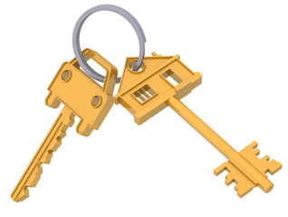 Связка ключей от дома и автомобиля © waldemarus