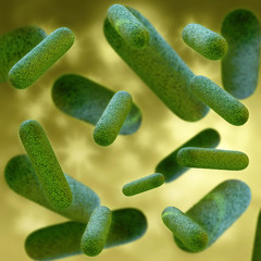 Bakterien - 3D Render