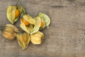 Macro image of fresh physallis berries