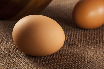 Organic Cage Free Brown Eggs