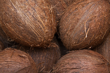 coconuts background