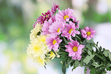 Bouquet of beautiful chrysanthemums on bright background