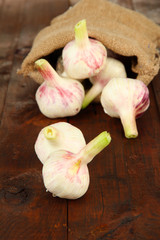Fresh garlic, on wooden background