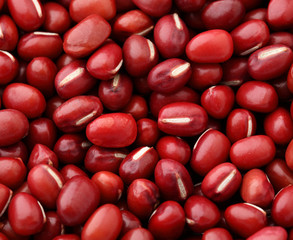 Adzuki Red Bean