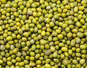 Mung green bean