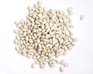 Haricot bean