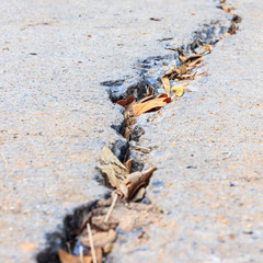 close up of crack cement road