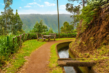Along the Levada, Madeira