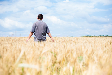 young farmer in a wheat field