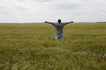 Naklejka na ściany i meble young farmer in a wheat field