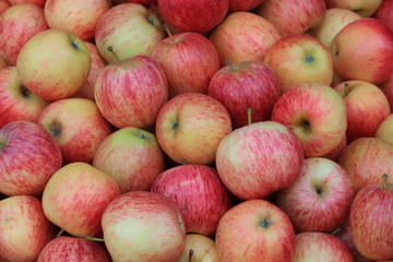 Group of red apples.