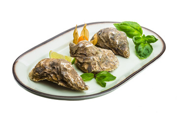 Fresh oyster
