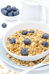 close-up of homemade muesli, blueberries and jug of milk