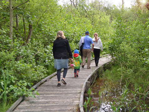promenade en famille au parc naturel du Rohart à Camierss