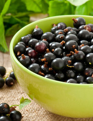 black currants in a bowl on wooden background