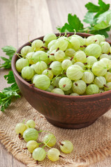 green gooseberries in a ceramic bowl