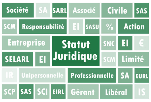 Nuage de mots Carr&eacute;s : Statut Juridique
