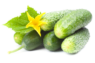 cucumbers with yellow flower and leaves